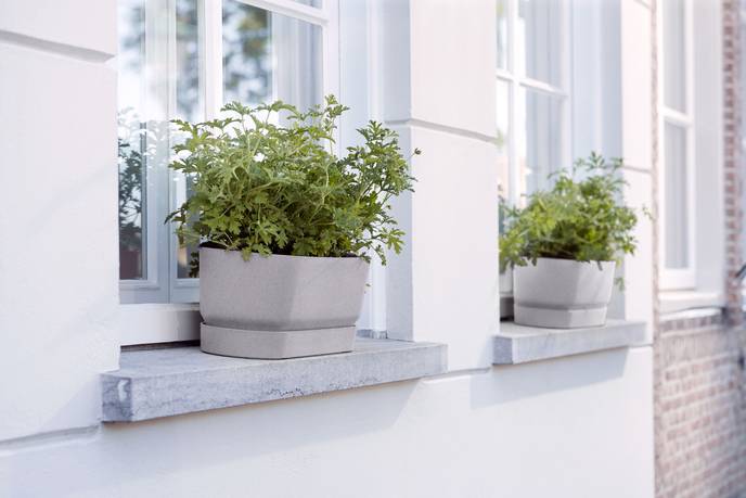 greenville trough long 50cm living concrete